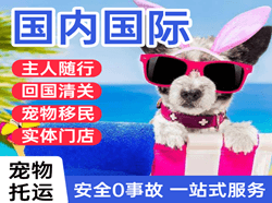 漠河机场托运国际宠物托运 【国